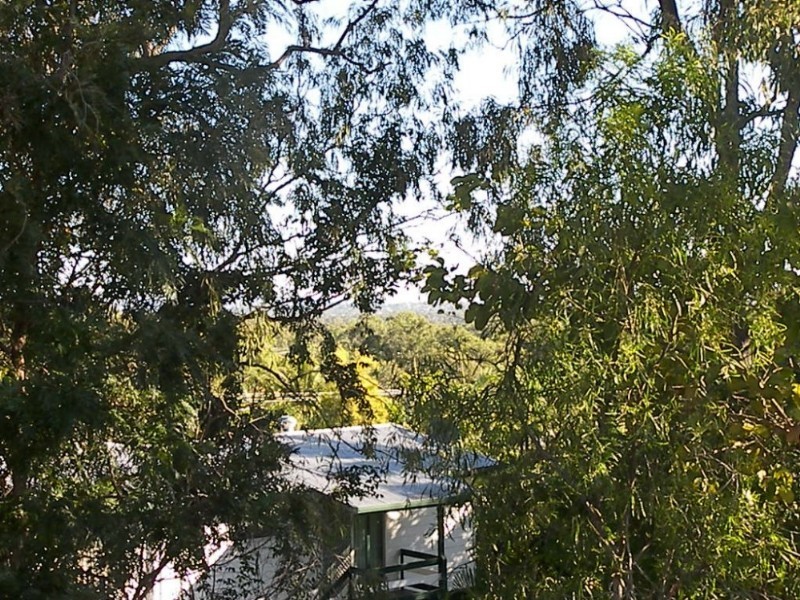 282 Thirkettle Avenue, Frenchville QLD 4701