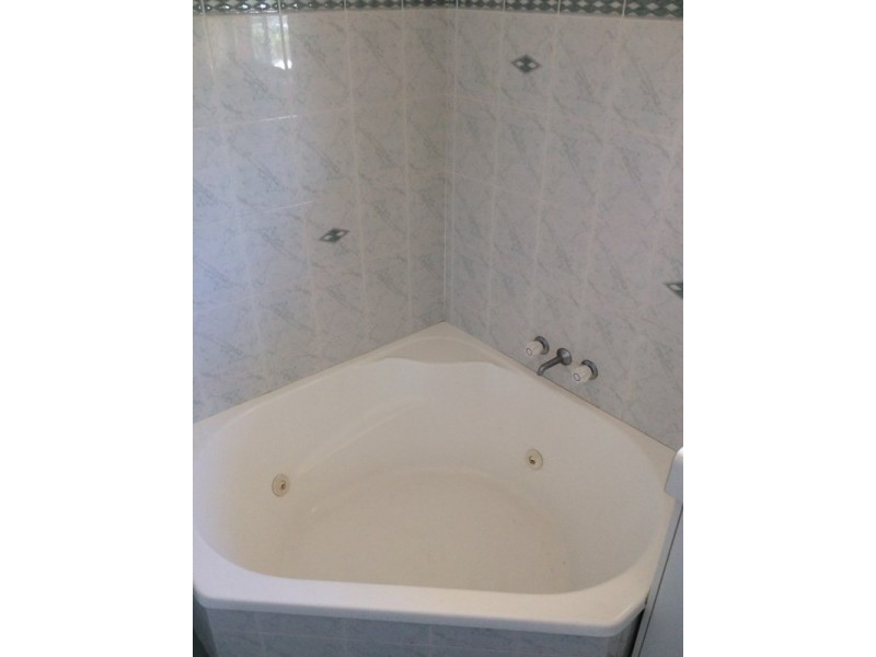 359 Lawrence Avenue, Frenchville QLD 4701