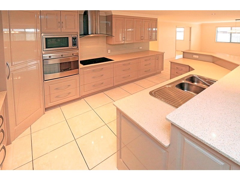 17 Treefern Terrace, Frenchville QLD 4701