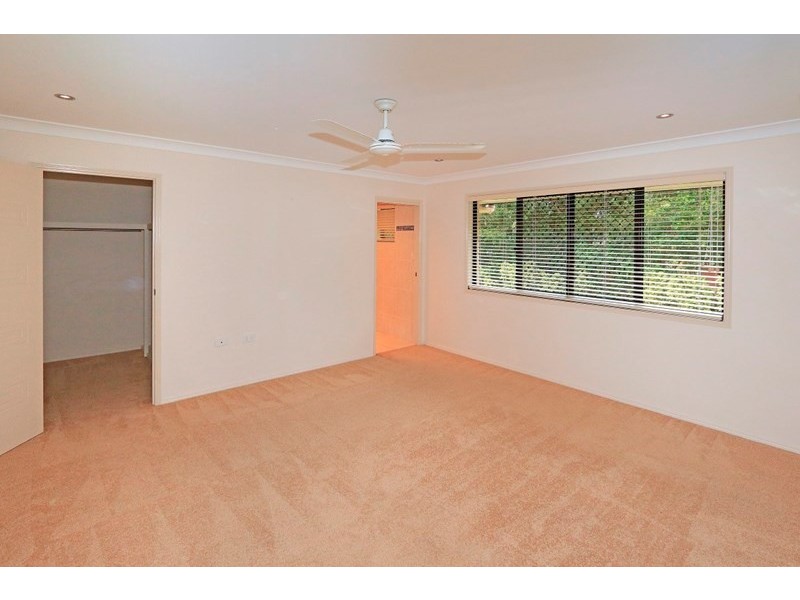 17 Treefern Terrace, Frenchville QLD 4701