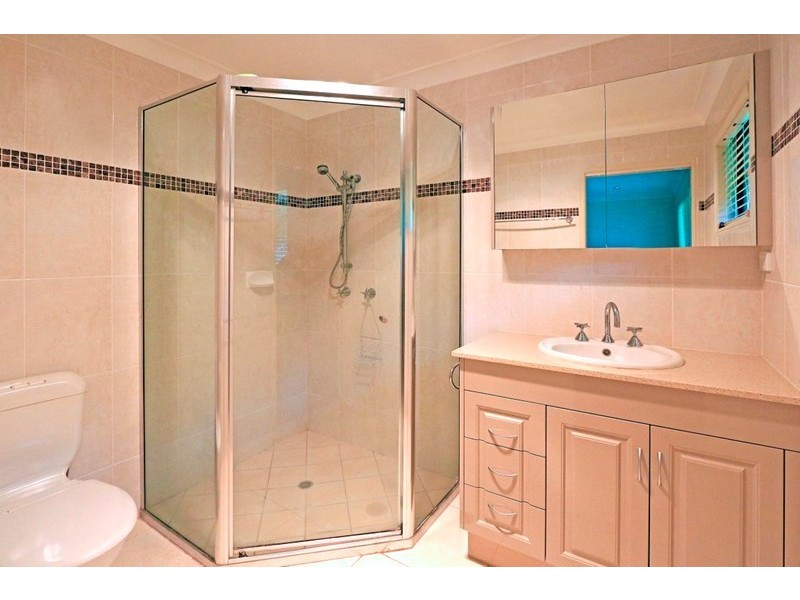 17 Treefern Terrace, Frenchville QLD 4701