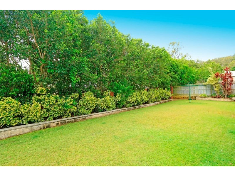 17 Treefern Terrace, Frenchville QLD 4701