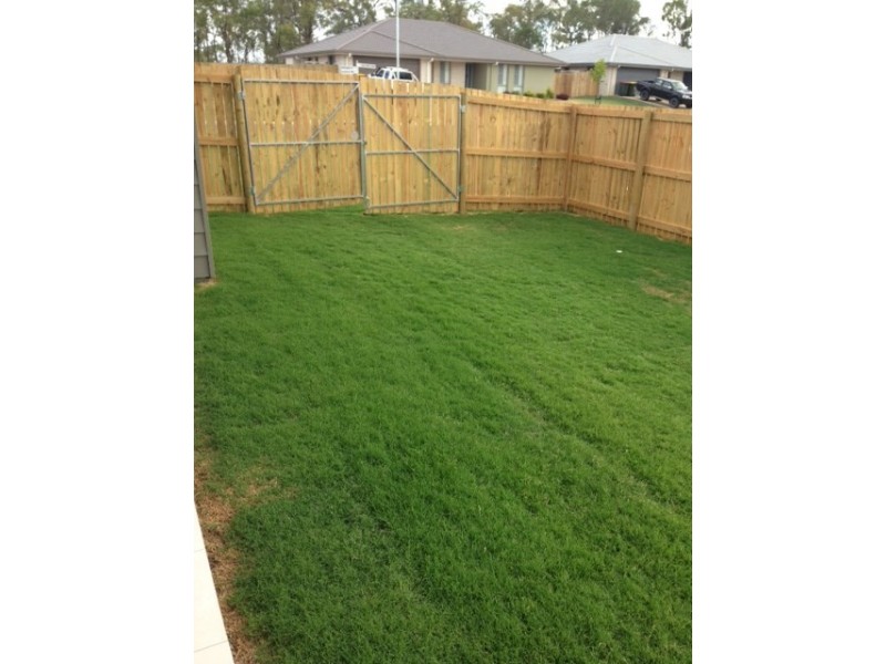 1 Rosebud Court, Parkhurst QLD 4702