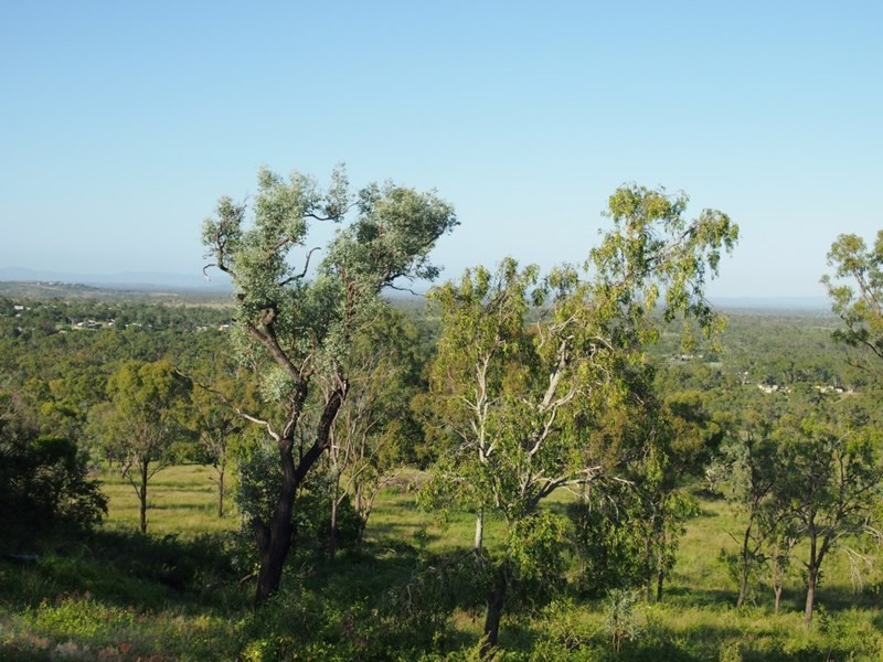 305 Fairmont Terrace, Rockyview QLD 4701