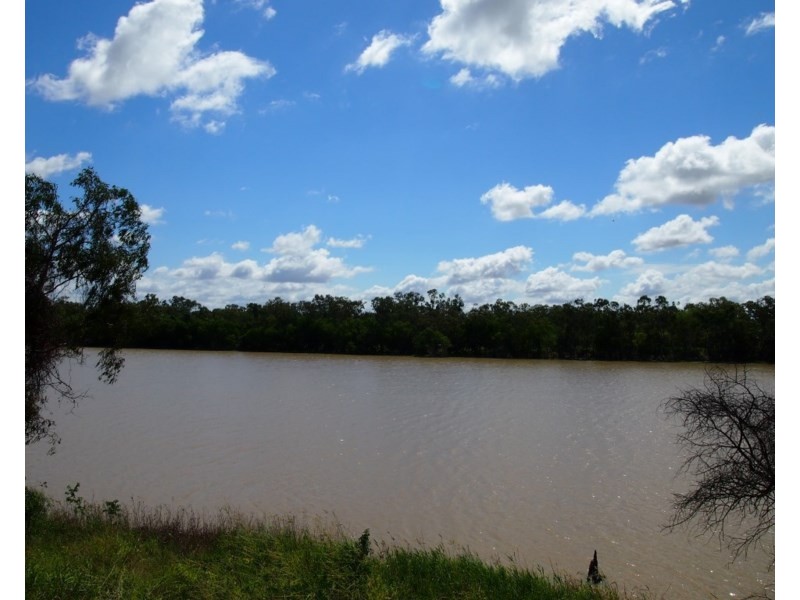 111 Larcombe Street, Kawana QLD 4701