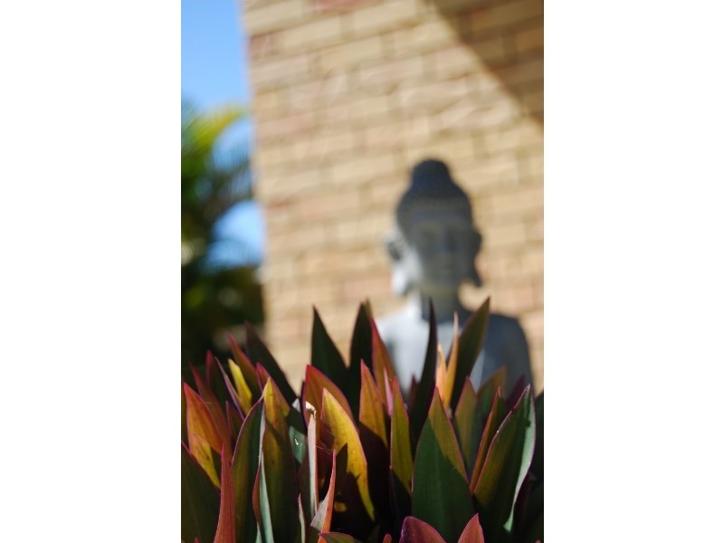 1 Thora Street, Gracemere QLD 4702