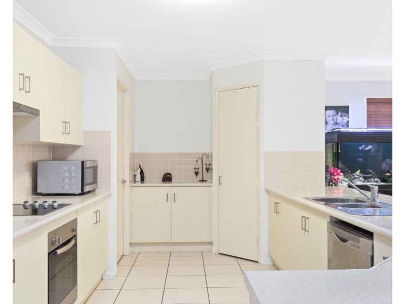 1 Candlebark Court, Frenchville QLD 4701