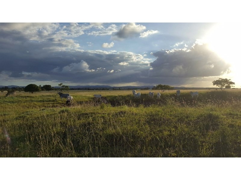 49 McKenzie Road, Alton Downs QLD 4702