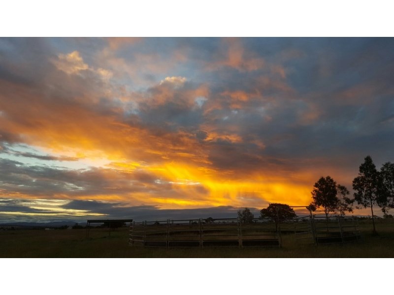 49 McKenzie Road, Alton Downs QLD 4702