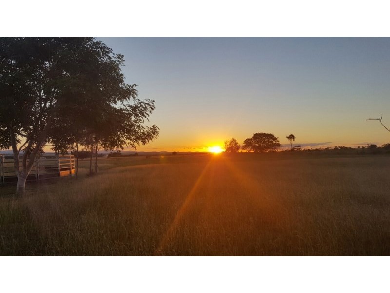 49 McKenzie Road, Alton Downs QLD 4702