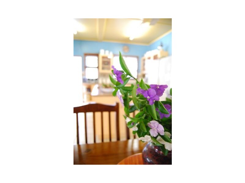 6 Barambah Street, Wandal QLD 4700