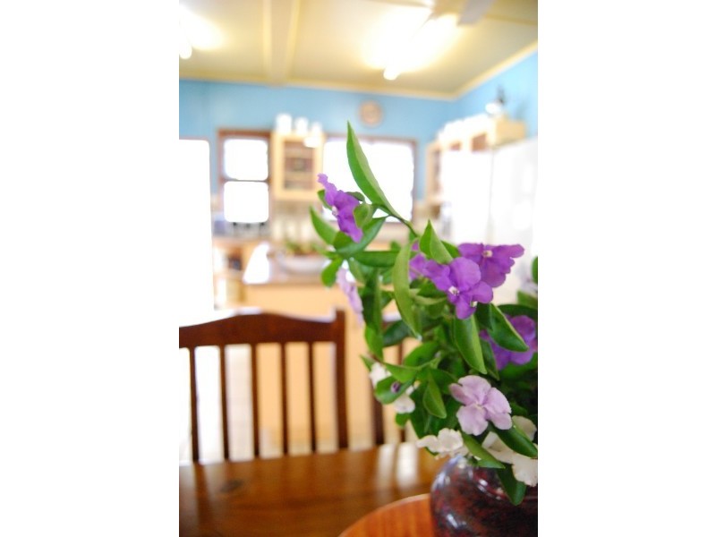 6 Barambah Street, Wandal QLD 4700