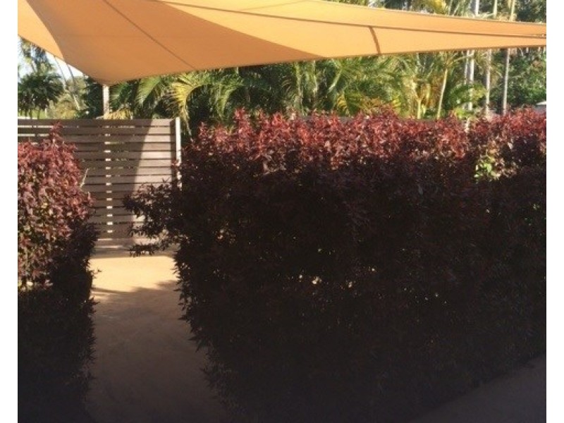 367 Stenhouse Street, Koongal QLD 4701