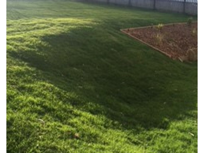 38 Lakeside Drive, Taroomball QLD 4703