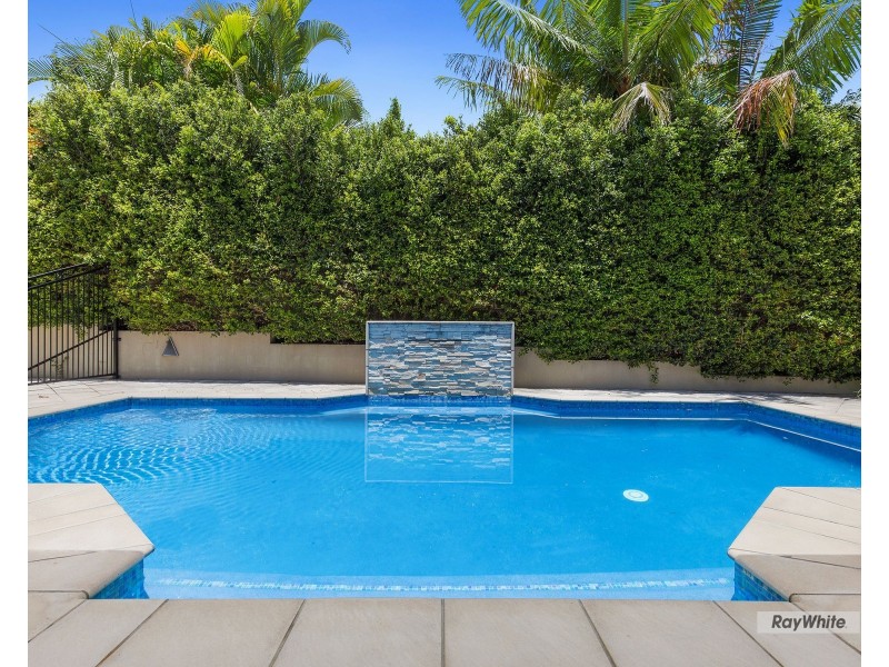 16 Treefern Terrace, Frenchville QLD 4701