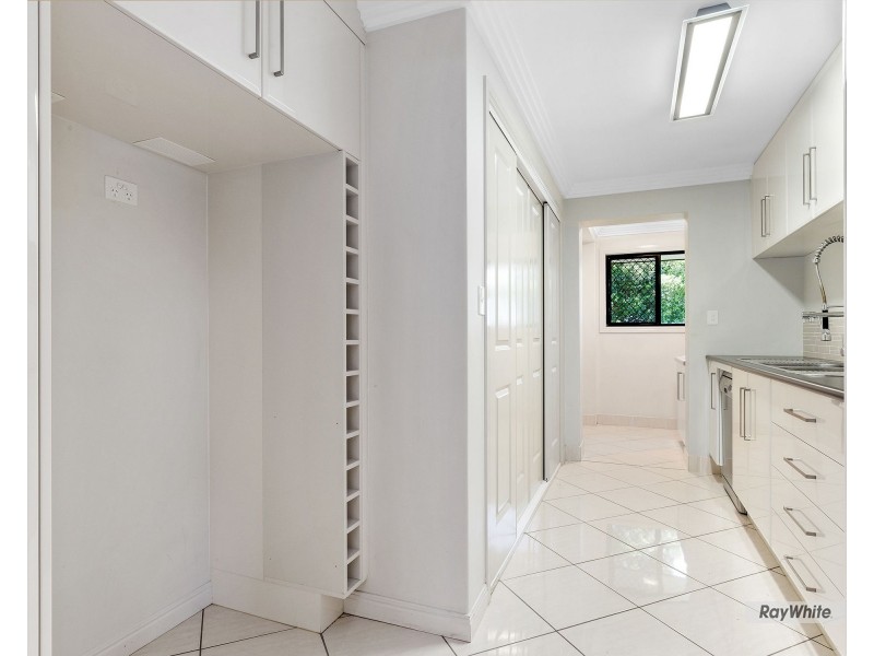 16 Treefern Terrace, Frenchville QLD 4701