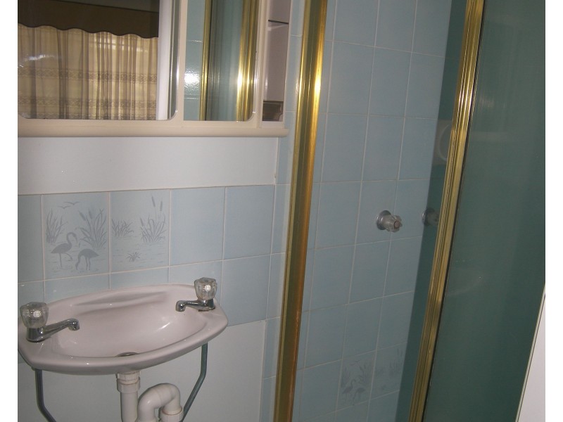 296 Thirkettle Avenue, Frenchville QLD 4701