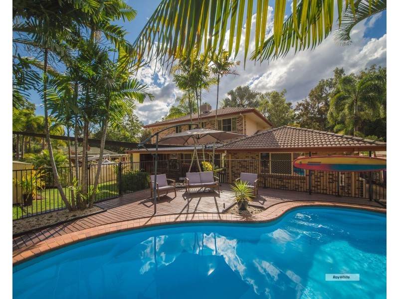 11 Blue Gum Terrace, Frenchville QLD 4701