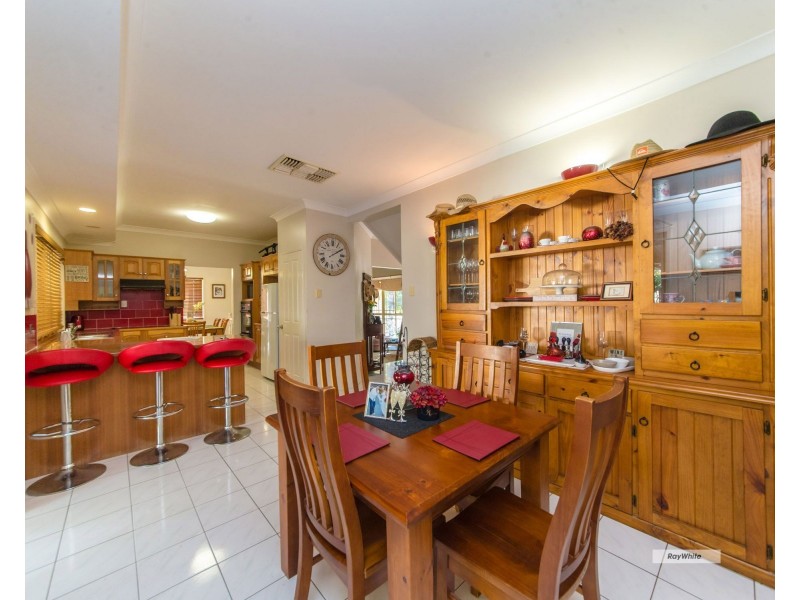 11 Blue Gum Terrace, Frenchville QLD 4701