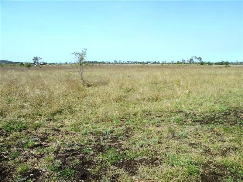 87 Milyando Road, Alton Downs QLD 4702