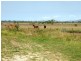 87 Milyando Road, Alton Downs QLD 4702