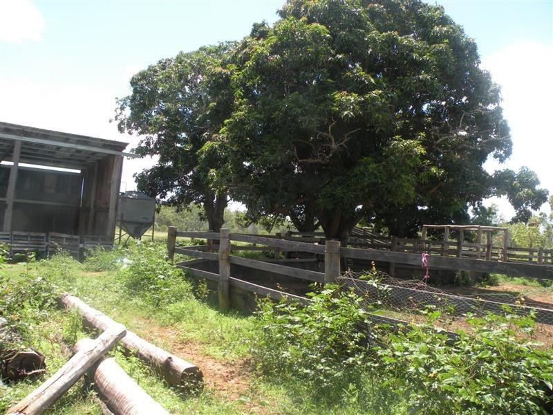 85 Springs Road, Bajool QLD 4699