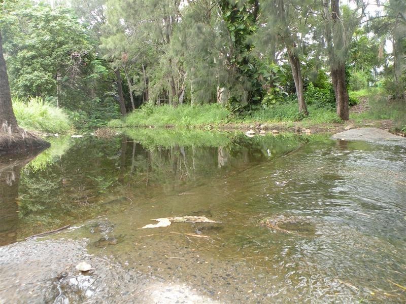 221 Wilson Street, Frenchville QLD 4701