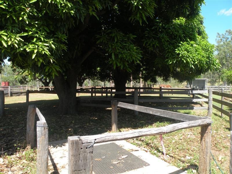 85 Springs Road, Bajool QLD 4699