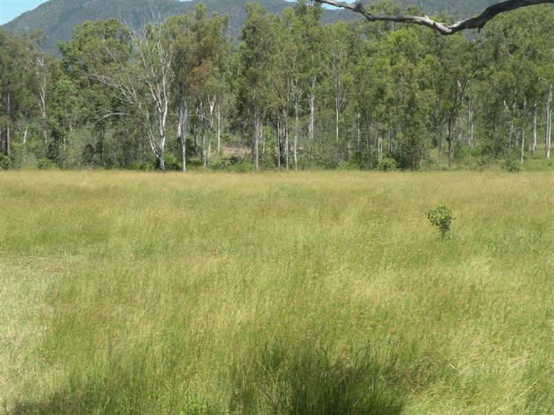 85 Springs Road, Bajool QLD 4699