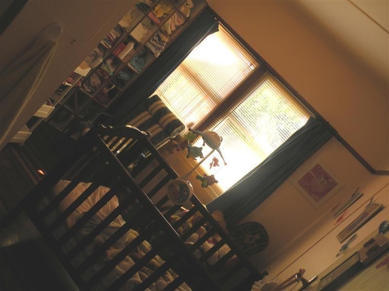 386 Waterloo Street, Frenchville QLD 4701