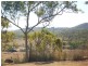 79 KERYN Drive, The Caves QLD 4702