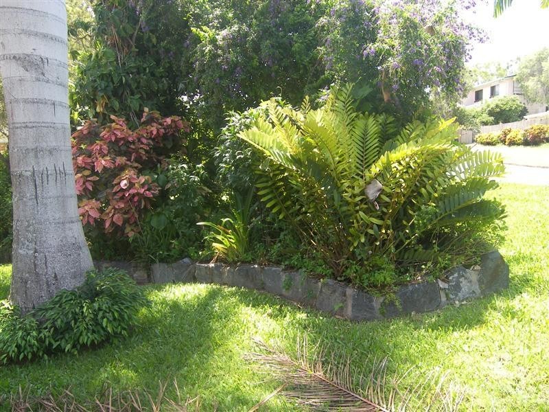 296 Thirkettle Avenue, Frenchville QLD 4701