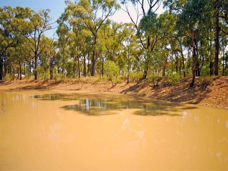 144 Tookers Road, Cawarral QLD 4702