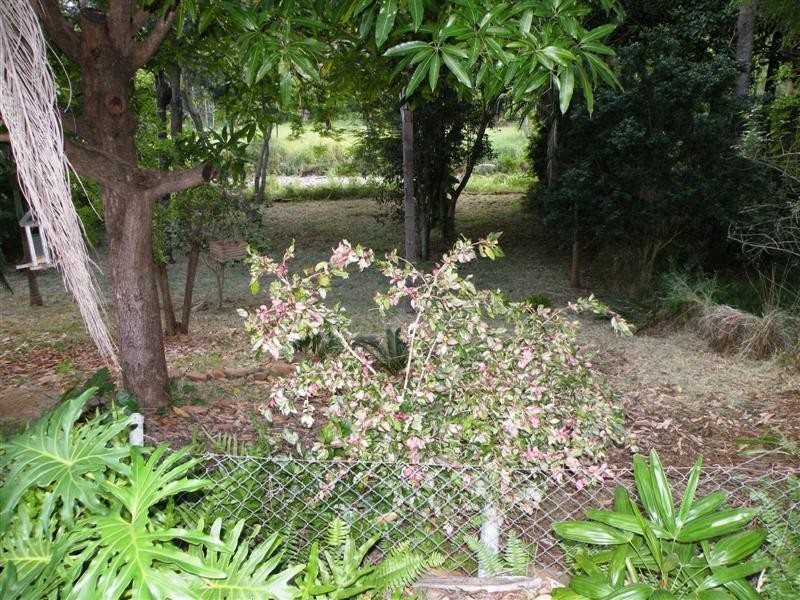 311 Mills Avenue, Frenchville QLD 4701