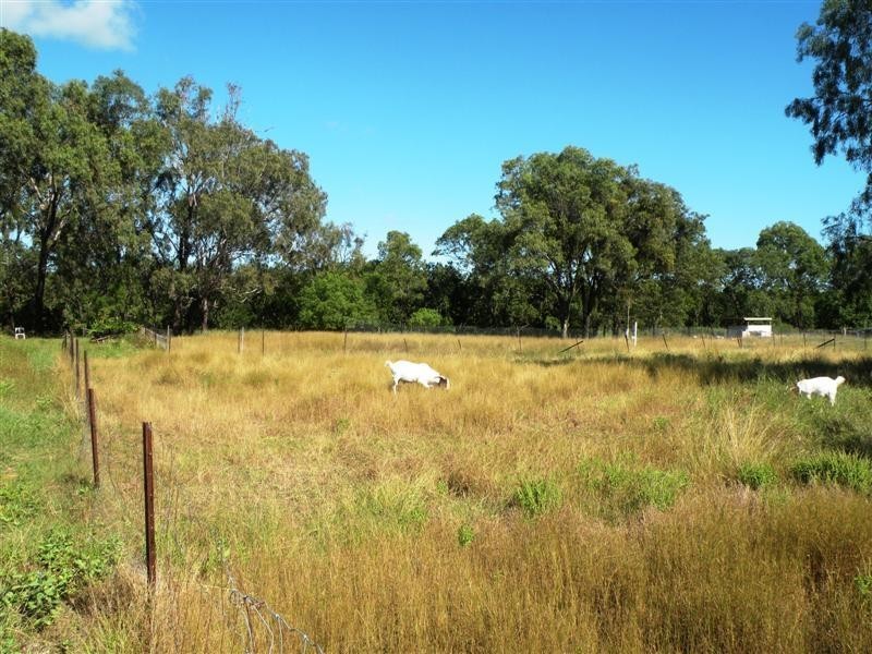 101 Emu Park Road, Nerimbera QLD 4701