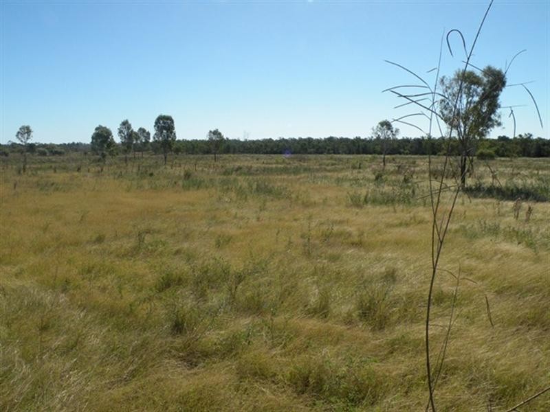 199 Sheldrake Road, Alton Downs QLD 4702