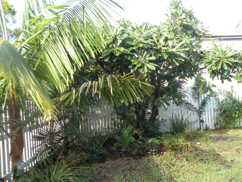 58 Deacon Street, Berserker QLD 4701