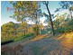 304 Frenchville Road, Frenchville QLD 4701