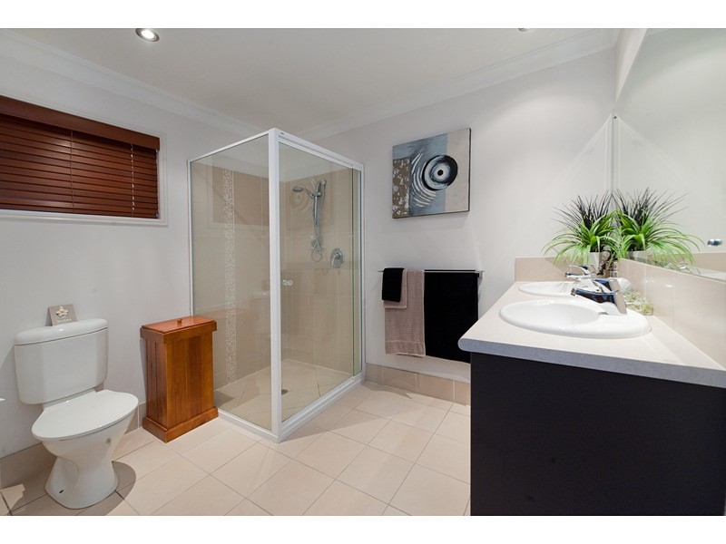 11 Treefern Terrace, Frenchville QLD 4701