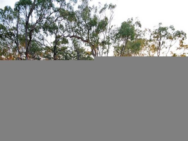 37 Klerkx Drive, Glendale QLD 4711