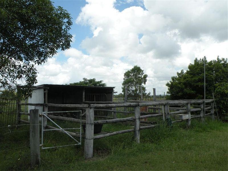 49 Harnsworth Road, Alton Downs QLD 4702