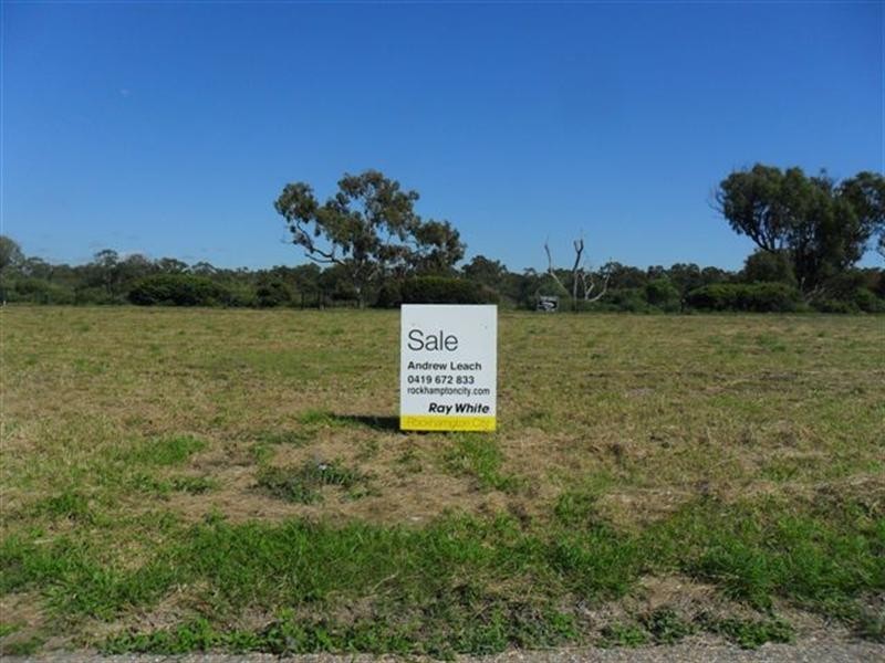 107 Larcombe Street, Riverview Estate, Kawana QLD 4701