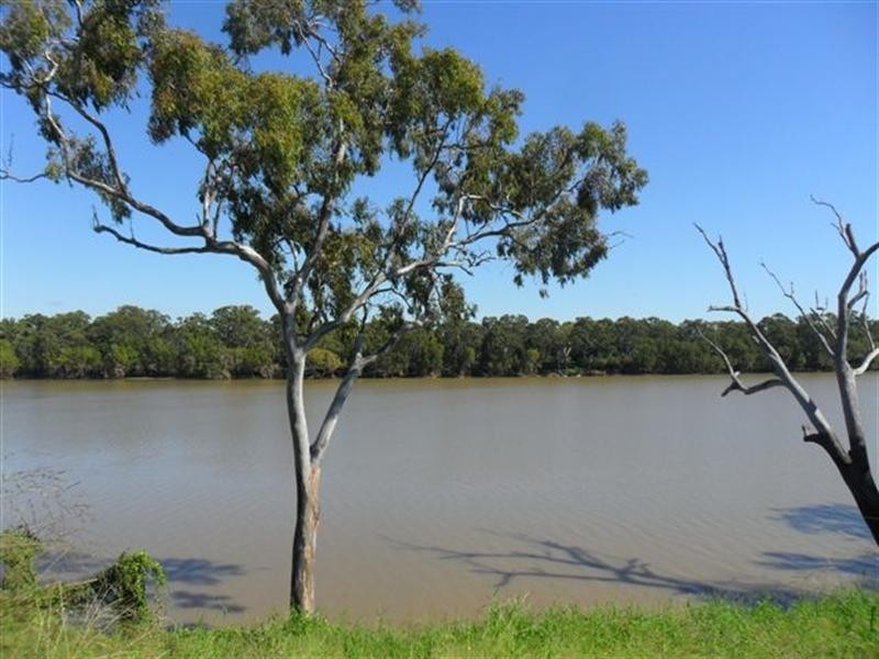 107 Larcombe Street, Riverview Estate, Kawana QLD 4701