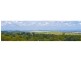40 Springcreek Close, The Caves QLD 4702