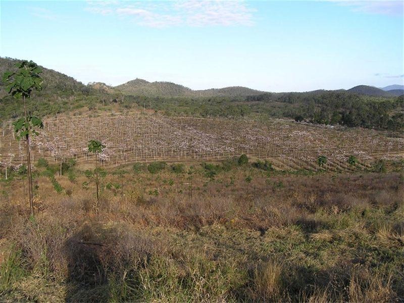 1 Camoo Caves Road, The Caves QLD 4702