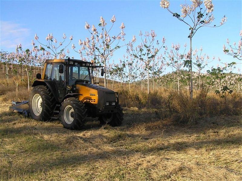 1 Camoo Caves Road, The Caves QLD 4702