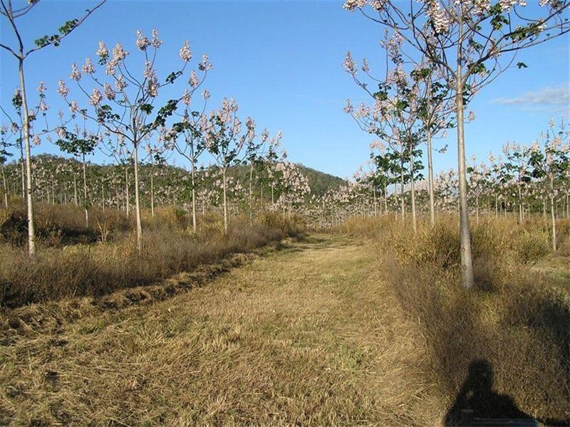 1 Camoo Caves Road, The Caves QLD 4702