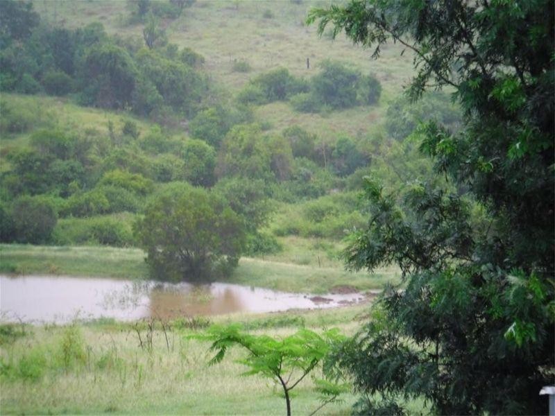 666 North Langmorn Road, Marmor QLD 4702