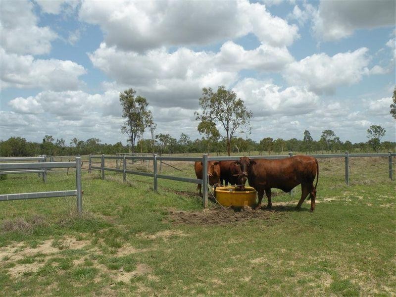 198 Boys Road, Alton Downs QLD 4702