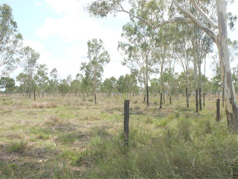 198 Boys Road, Alton Downs QLD 4702